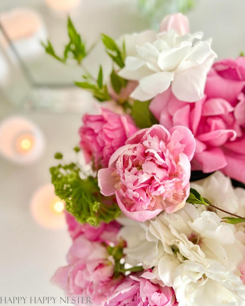 pink peonies closeup