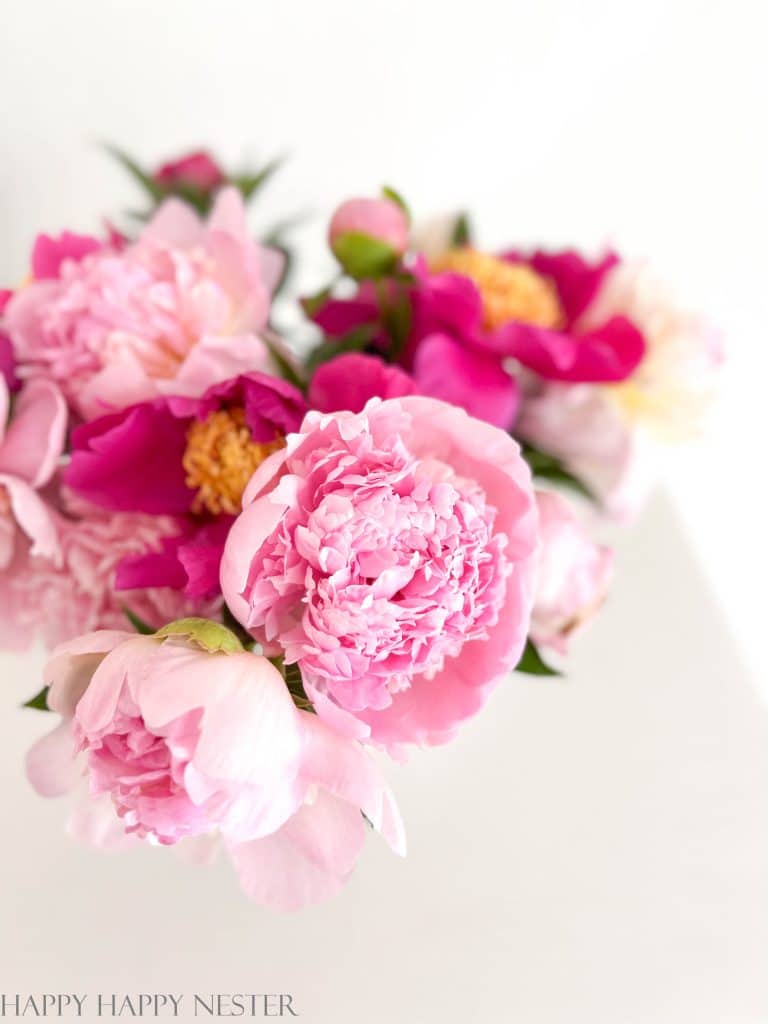 close up a pink peony in a vase of other peonies.