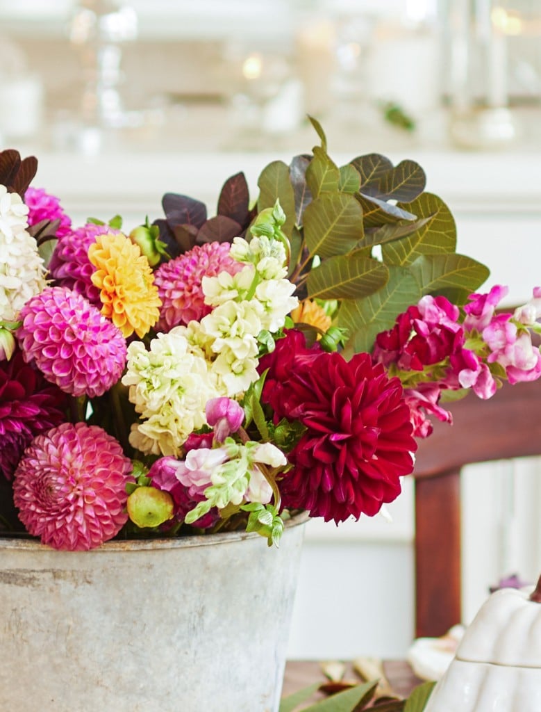 a close up of pretty fall dahalias in an old tin bucket