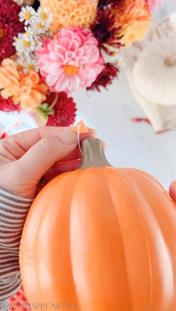a close up of where to attach the fishing line on a pumpkin