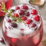 fizzy holiday drink with cranberries