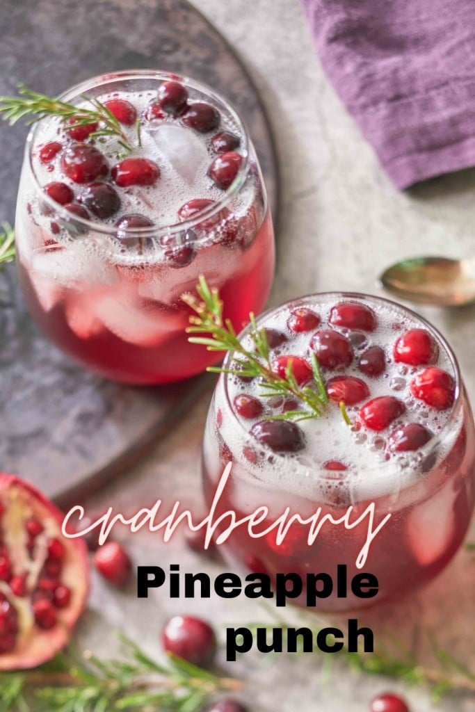 cranberry pineapple punch pin image