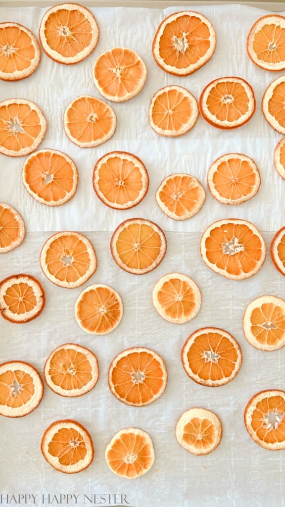 Oranges slices on a baking tray