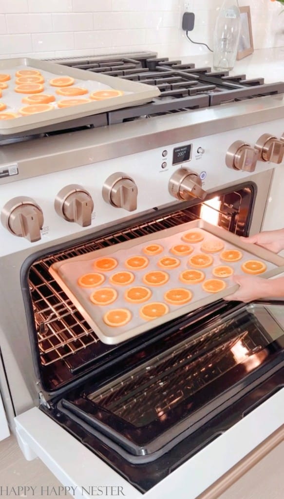 placing a tray of sliced oranges in the oven for drying
