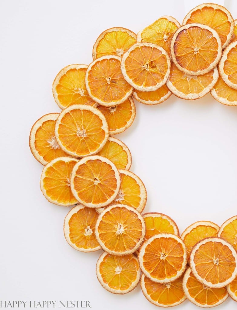up close photo of a Christmas wreath with orange slices hanging on a white wall.