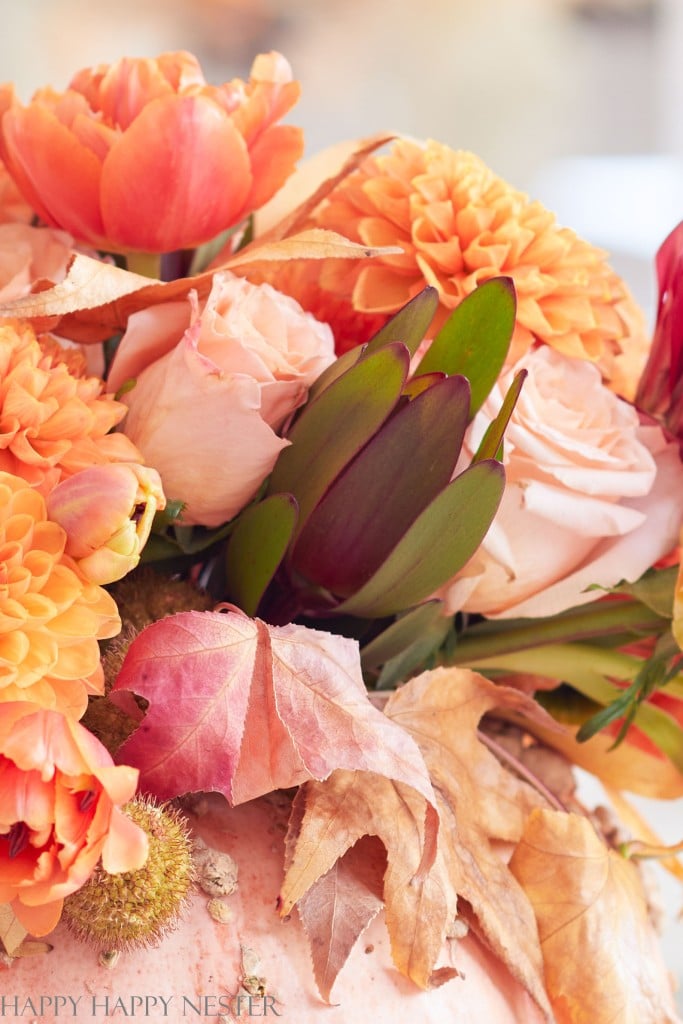 close up a the flowers and fall leaves in a pumpkin