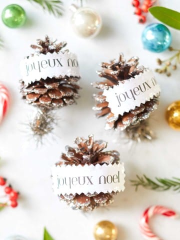 DIY Pinecone Ornaments close up