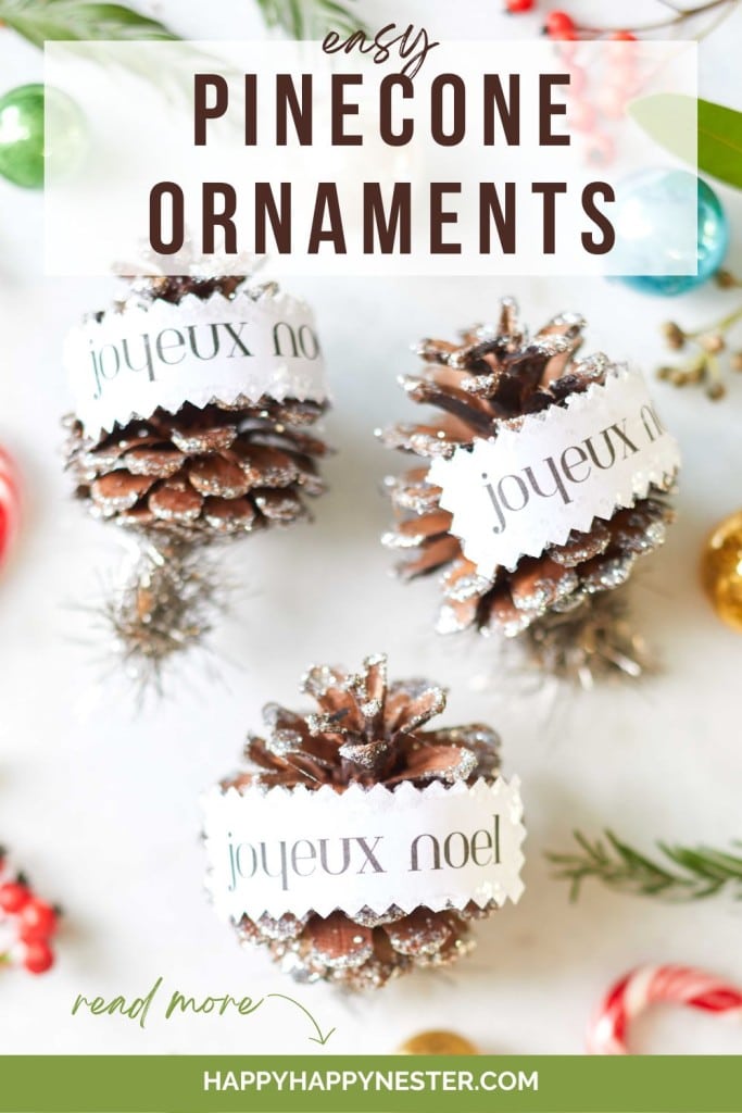 diy pinecone ornaments pin image