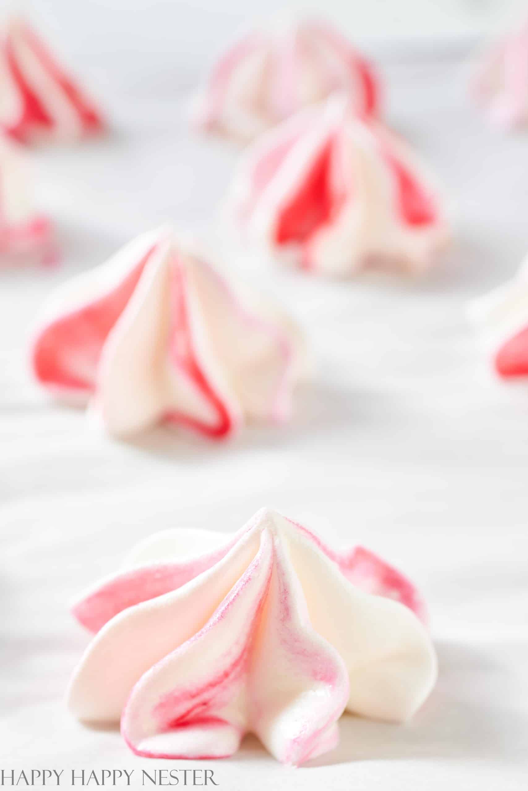 Vegan Meringue Cookies (Aquafaba) Happy Happy Nester