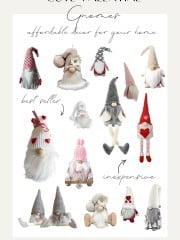 cute valentine gnomes
