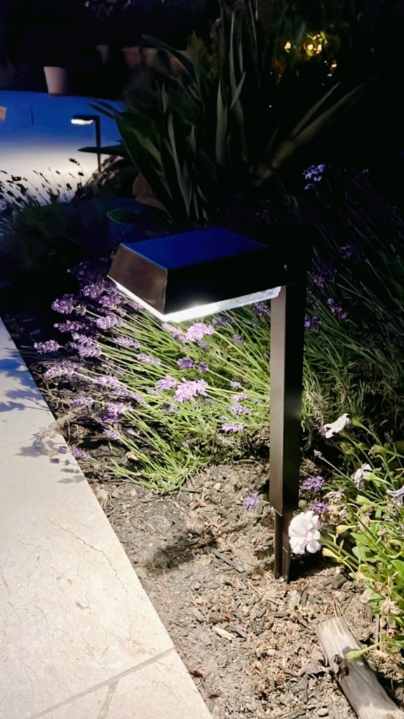 A solar-powered garden light illuminates a pathway lined with blooming purple flowers and greenery at night. The light is mounted on a black post, casting a gentle glow on the surrounding plants. The scene is serene and softly lit, showcasing exquisite flower garden decor ideas.