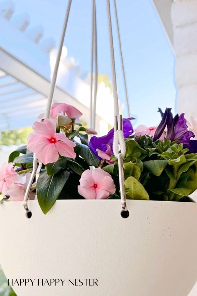 drip irrigation for plants in pots hanging from a white pergola