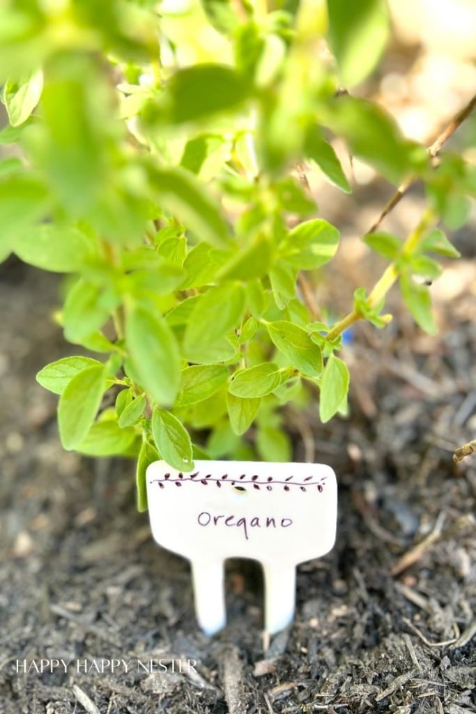 oregano garden markers for the garden