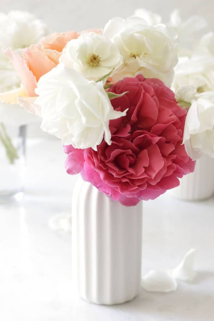 simple roses in a white flower vase