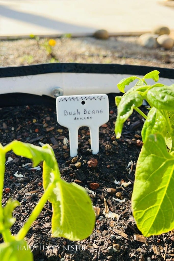 planter markers for gardens in a raised vegetable garden