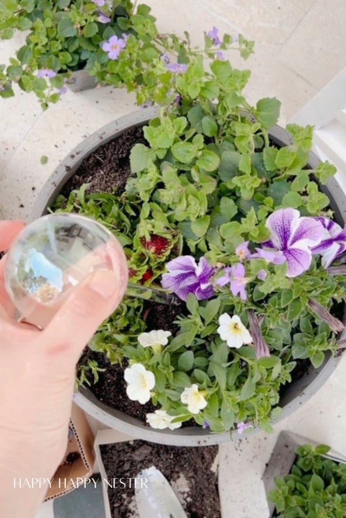 inserting a glass globe into a potted plant