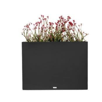 A rectangular black planter box containing tall, thin green stems with small red flowers at their tips. The planter has a modern, minimalist design, making it an excellent choice for anyone seeking flower garden decor ideas. The flowers add a touch of color and natural beauty to the arrangement.