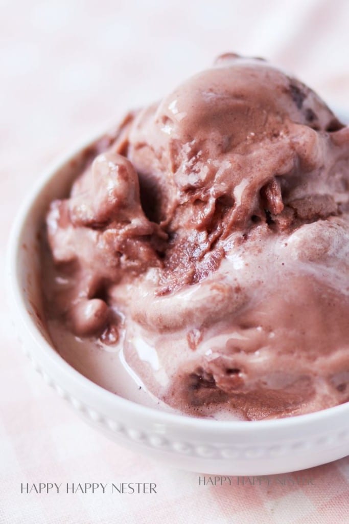 Close-up of a white bowl filled with creamy chocolate ice cream. The ice cream appears to be melting, with smooth and slightly chunky textures visible. The background is softly blurred, emphasizing the ice cream.