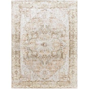 An area rug featuring a distressed, vintage-style pattern in neutral tones of beige, cream, and light brown. The central design includes symmetrical, intricate motifs with faded details, surrounded by a border of ornate decorations.