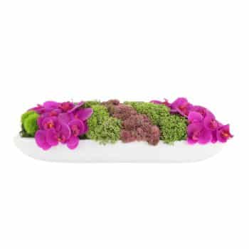 A white elongated ceramic bowl filled with a lush arrangement of green moss, rich pink orchids, and clusters of red succulents. The vibrant flowers and greenery create an elegant, colorful display.