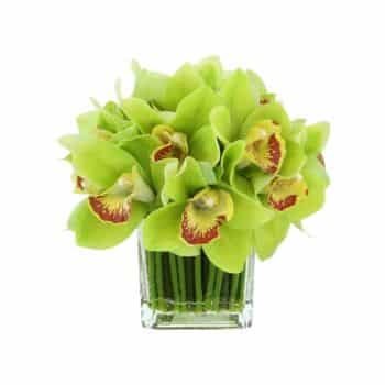 A small, clear glass vase holds a bouquet of green orchids with red and yellow centers. The flowers are tightly arranged, with their stems visible through the transparent vase.