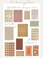 fall rugs for the living room