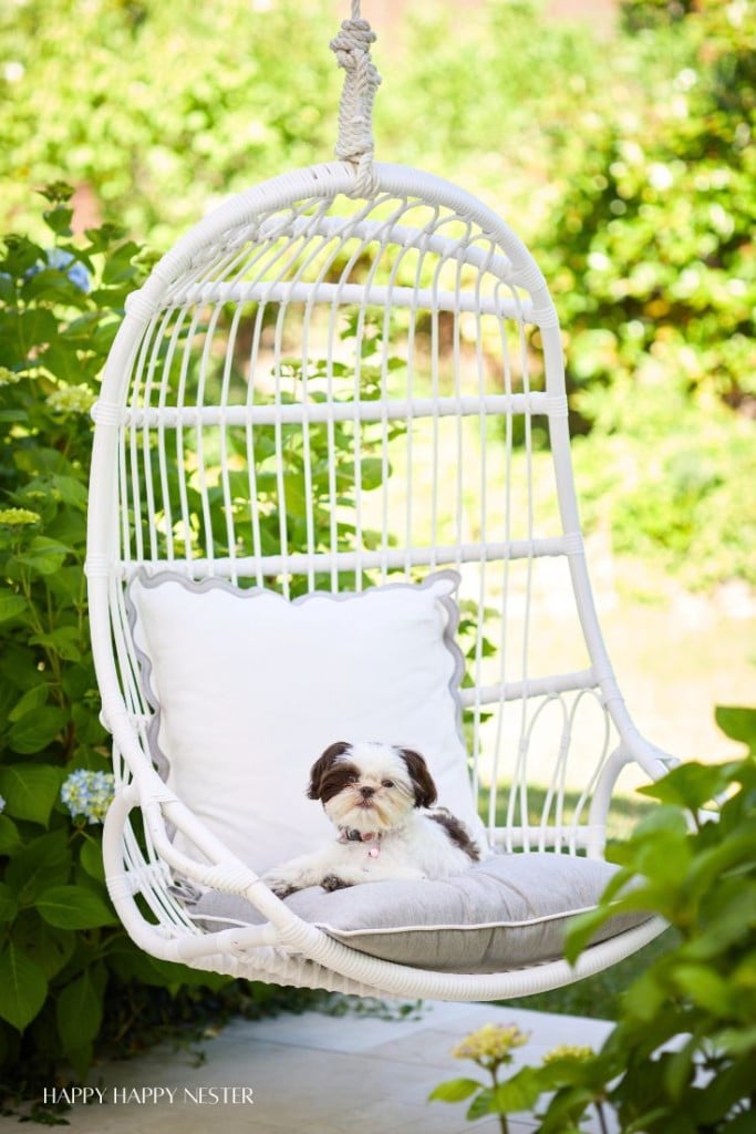 A small fluffy dog with white and brown fur sits comfortably on a cushioned hanging chair made of white wicker. The chair is suspended by a rope in a garden with blooming flowers and greenery in the background. The dog appears relaxed and content.