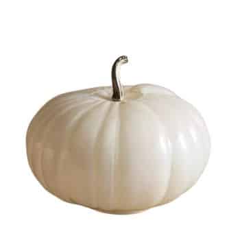 A white pumpkin with a smooth, round shape and a short, dark stem. The pumpkin appears to be made of a glossy material, giving it a shiny and polished look. It is set against a plain white background.