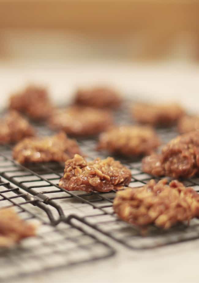 Close-up of several freshly baked autumn cookies, drop-style with a chocolatey, oatmeal mixture cooling on a black wire rack. The background is softly focused, emphasizing the texture and richness of the cookies.