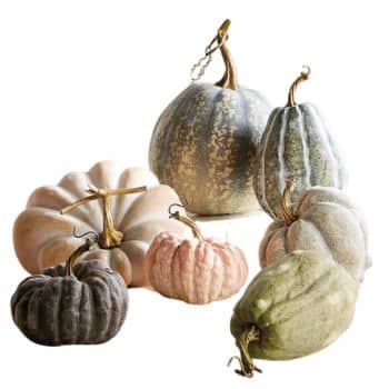 A collection of six gourds and pumpkins in various shapes and colors, including shades of green, orange, pink, and gray, arranged against a white background. Each has a unique surface texture and stem.