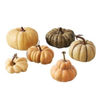 A collection of six assorted pumpkins in varying sizes and colors, including pale yellow, muted green, and orange, arranged against a white background.