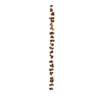 A vertical line of scattered brown coffee beans on a white background.