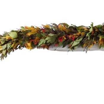 A festive autumn garland made of colorful leaves and foliage drapes over a white background, featuring shades of green, yellow, orange, and red.