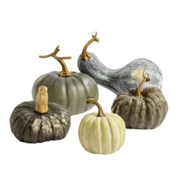 A collection of decorative pumpkins in various shades of gray and cream with unique textures and stems. They are arranged on a white background, showcasing different shapes and sizes.