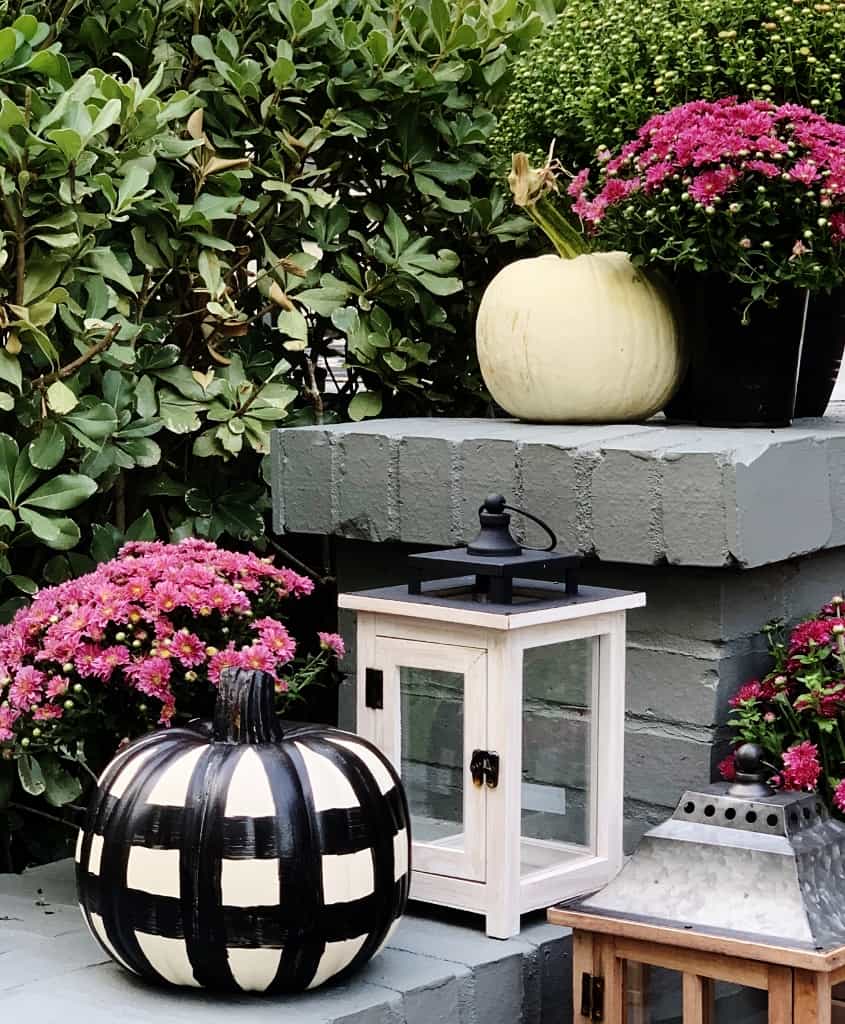 A fall-themed decoration showcases easy pumpkin crafts with pink flowers, a white lantern, a black-and-white checkered pumpkin, a white pumpkin, and lush greenery in the background.