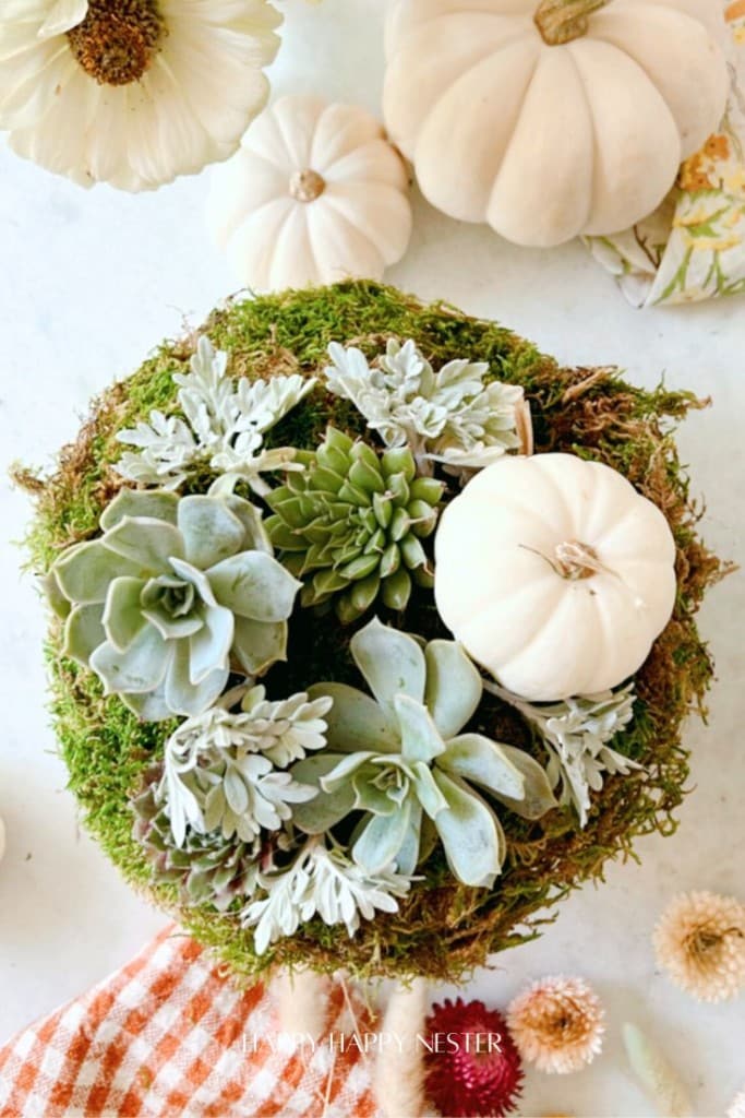 A top-down view of a table centerpiece featuring small white pumpkins and succulents on a round moss base. Surrounding the arrangement are additional white pumpkins and flowers, with a checkered cloth visible at the bottom.