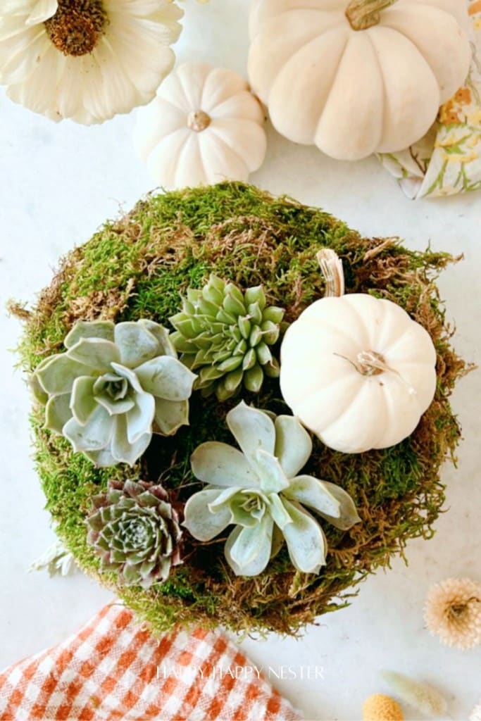 Top view of a moss-covered pumpkin adorned with succulents and a small white pumpkin. Background includes more white pumpkins and daisies on a light surface. An orange-checkered cloth is visible in the corner.