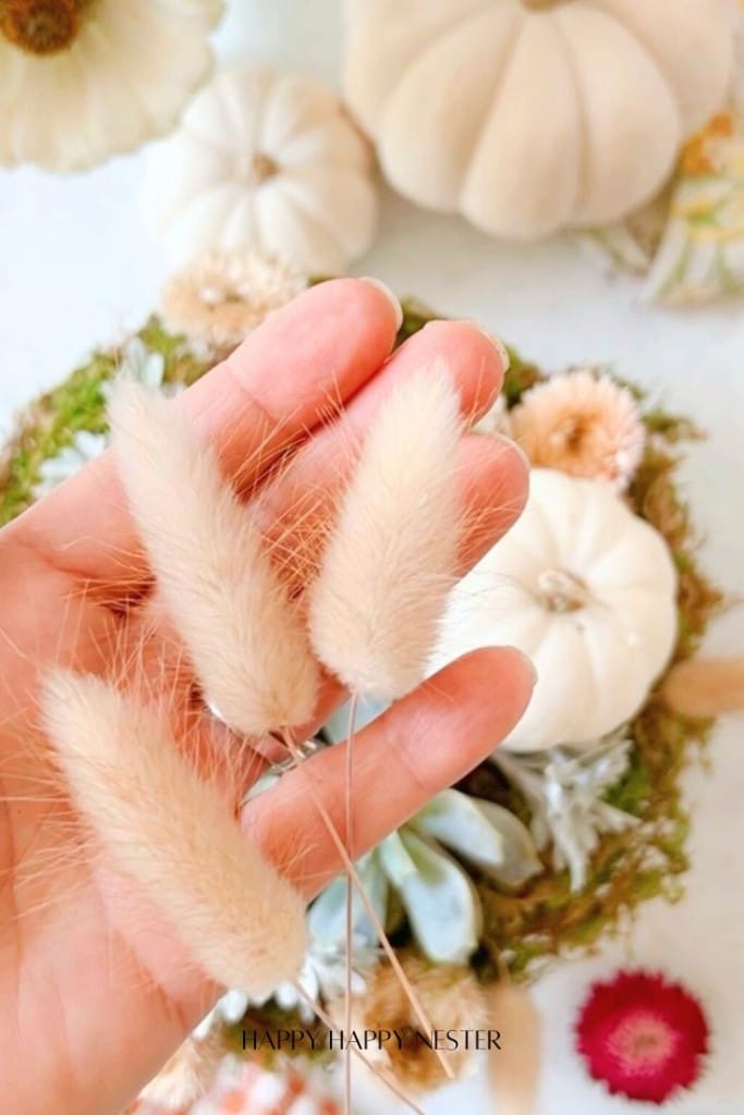 A hand holding three fluffy, tan pampas grass stems over a decorative arrangement of white pumpkins and succulents on a background of moss and flowers.