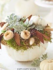 Transform a white pumpkin into a stunning DIY centerpiece, blending succulents, dried flowers, brown leaves, and small pine cones for an autumnal touch.