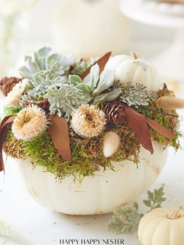 Transform a white pumpkin into a stunning DIY centerpiece, blending succulents, dried flowers, brown leaves, and small pine cones for an autumnal touch.