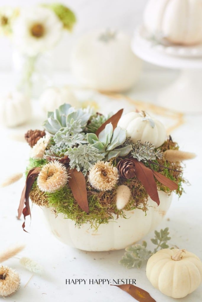 A decorative arrangement showcases green succulents and small white pumpkins, perfect for a DIY fall centerpiece. Nestled among brown pine cones and dried flowers on a white ceramic dish, the background softly blurs with more pumpkins.