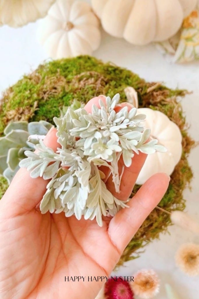 A hand holding a bunch of small, pale green leaves, with a backdrop of moss and white pumpkins, inspires a DIY vision of succulent arrangements and festive décor.