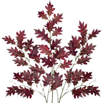 A cluster of branches with deep red, jagged-edged leaves, arranged against a white background. The leaves have a textured surface, showcasing an autumnal color palette.