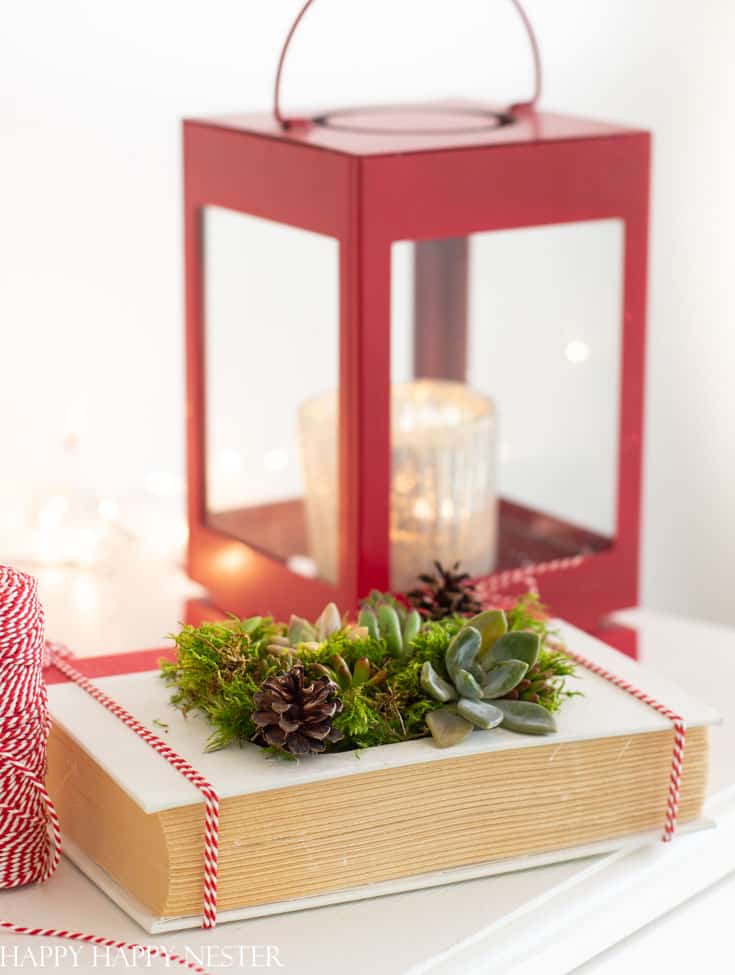 A decorative scene featuring a red lantern and a book-shaped box adorned with moss, pinecones, and succulents offers charming holiday craft ideas. A coil of red and white twine is elegantly placed beside the box, adding to the festive touch.