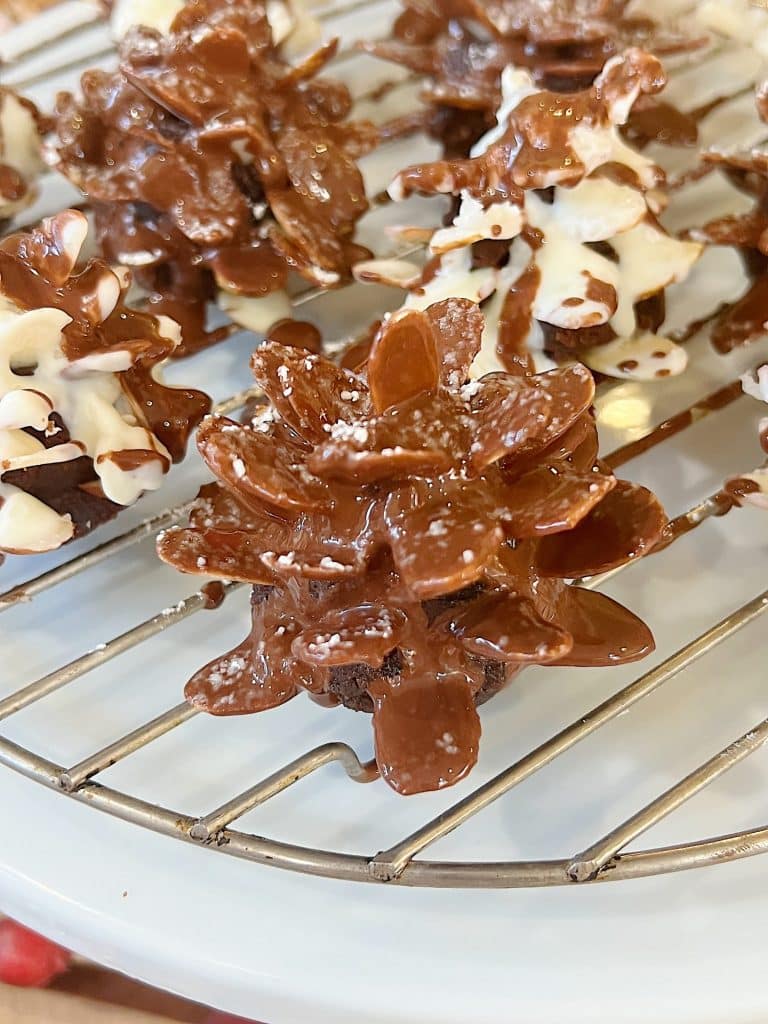 Chocolate and white chocolate Christmas treats shaped like pinecones rest on a cooling rack. These festive delights are intricately detailed with both chocolate and white icing, creating a perfect holiday appearance.