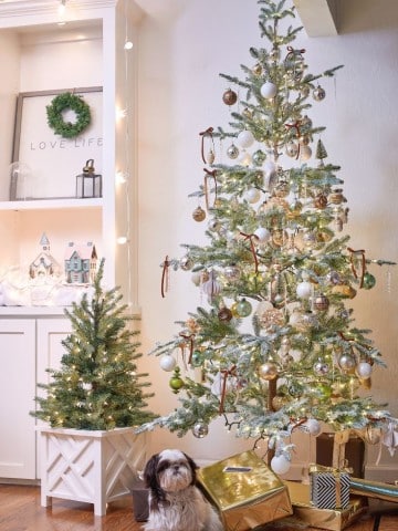 A festive room with two decorated Christmas trees, one large and one small, adorned with white and gold ornaments. A small dog sits beside the trees. Shelves with a wreath and miniature houses are in the background, creating a cozy holiday atmosphere.