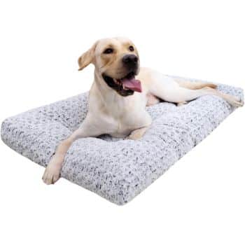 A Labrador retriever lies comfortably on a fluffy, gray pet bed with its tongue out and a relaxed expression.