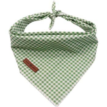 A green and white checkered bandana with a brown leather tag is tied in a knot. The bandana is triangular in shape and neatly displayed.