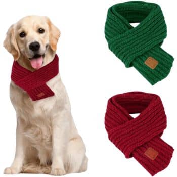 A golden retriever with a red knitted scarf sits beside two additional scarves in green and red, displayed on a white background. The scarves are ribbed and feature a brown logo patch.