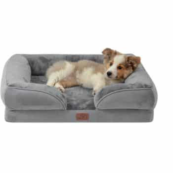 A fluffy puppy lying on a soft, gray dog bed with raised edges. The puppy appears relaxed and cozy, resting its head on the cushioned surface.